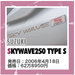 SUZUKI SKYWAVE250 TYPE S F2006N418 iF628950~