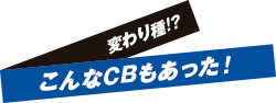 変わり種!?こんなCBもあった!