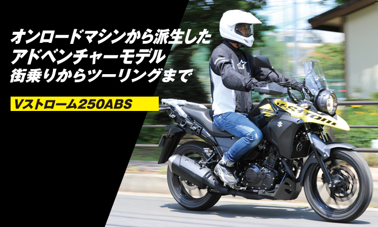 VXg[250ABS