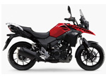 VXg[250