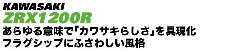 KAWASAKI ZRX1200R ������Ӗ��Łu�J���T�L�炵���v����� �t���b�O�V�b�v�ɂӂ��킵�����i