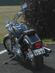 YAMAHA DS1100