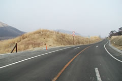 国道442号